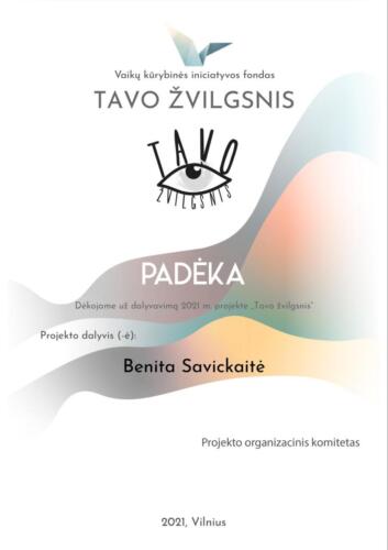 TAVO ŽVILGSNIS  - Benita Savickaitė